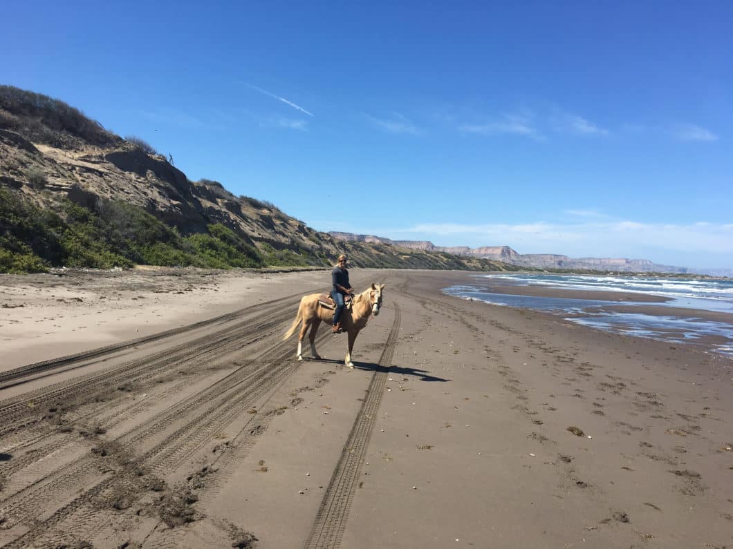 Horseback Riding in La Paz Baja Life Realty