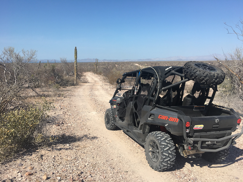 UTVLaPazBajaOffroad