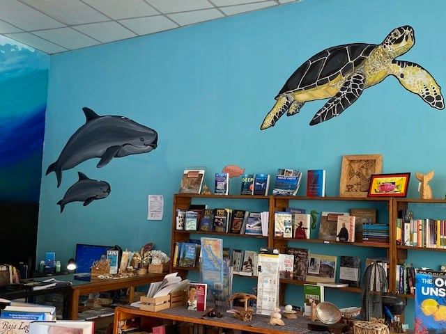 AllendeBooks