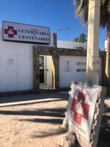 ClinicaVetElCentenario