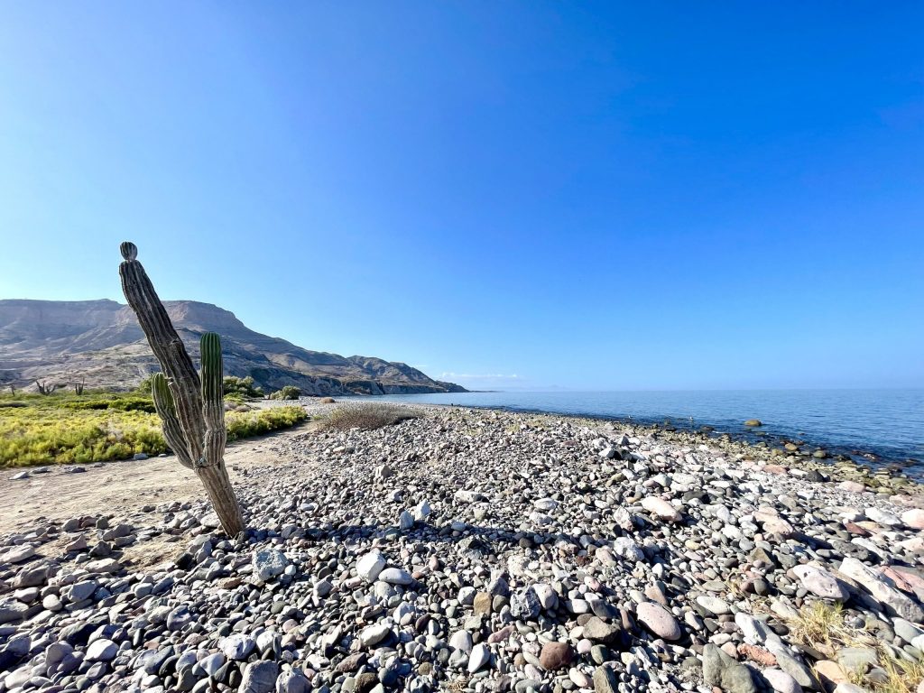 The rugged, rocky beach is a perfect blend of dessert and sea